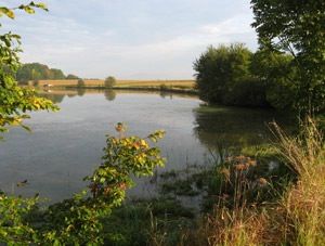 Un des étangs Nérac - Photo Bertrand Scaar