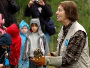 Beryl Roth présente un faucon crécerelle aux enfants - Photo Cathy Zell