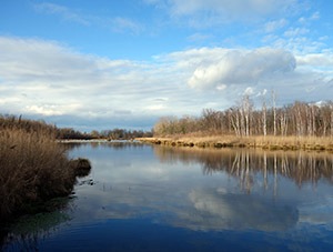 Le Brunnwasser, un des cours d'eau phréatiques alimentés par le Rhin