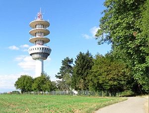 La tour d'Oberhausbergen - Photo Camille Fahrner