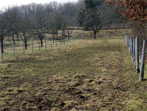 Terrain privé fermé avec une clôture réalisée en poteaux creux - Photo Jean-Marie Risse