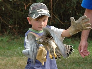 Un des enfants relâche un faucon crécerelle - Photo Cathy Zell
