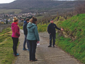 Rencontre avec des viticulteurs - Photo Delphine Lacuisse