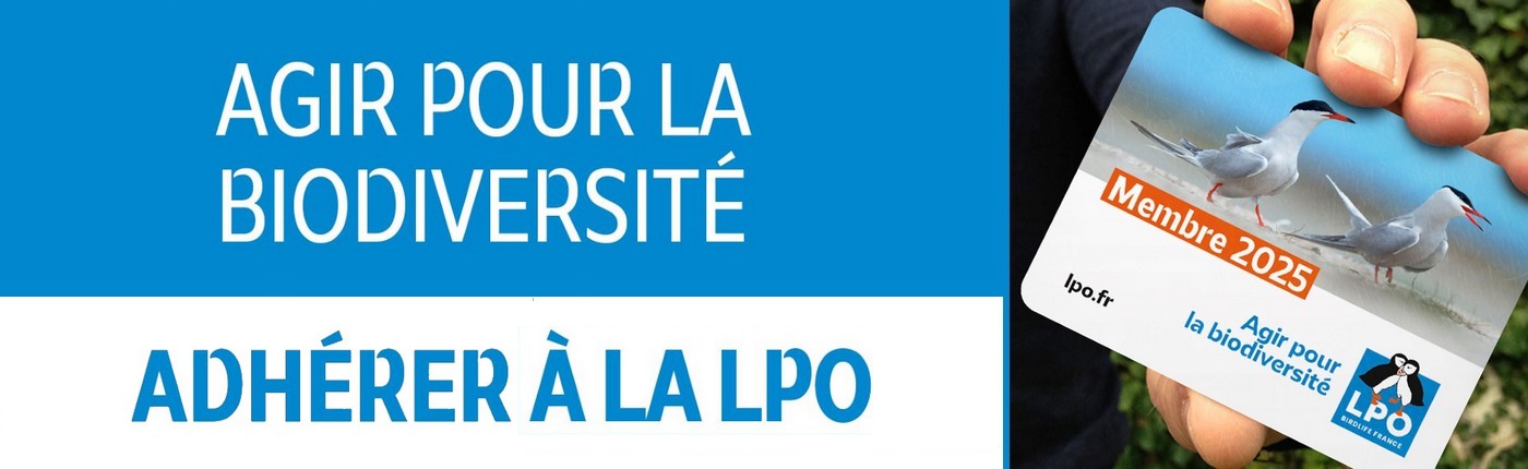En 2025, devenez Biodiv'Acteur ! 