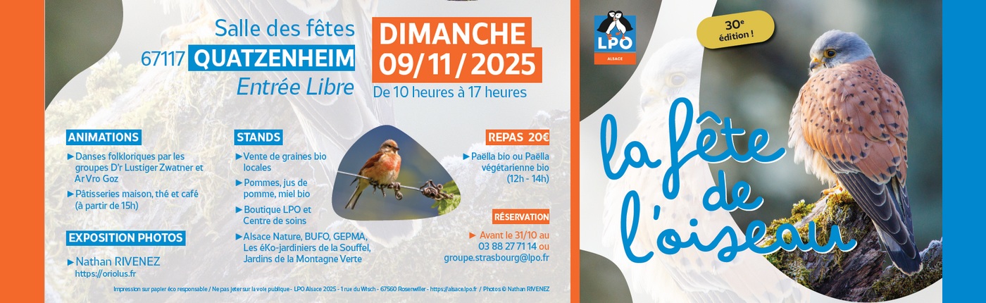 Venez nous retrouver à la fête de l'oiseau