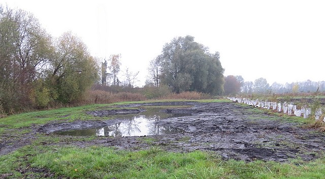 Exemple de création de mare - Photo LPO Alsace