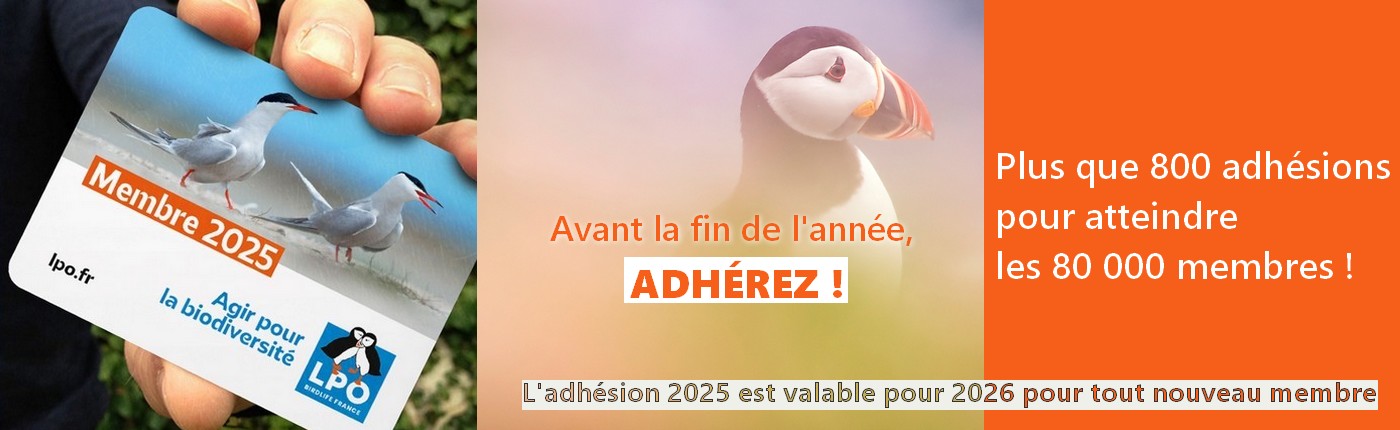 La mobilisation continue !