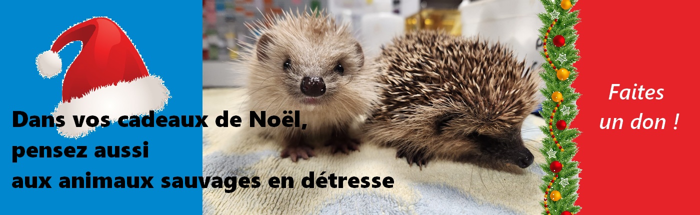 On a besoin de vous !