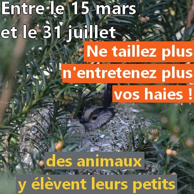 message permanent Haie