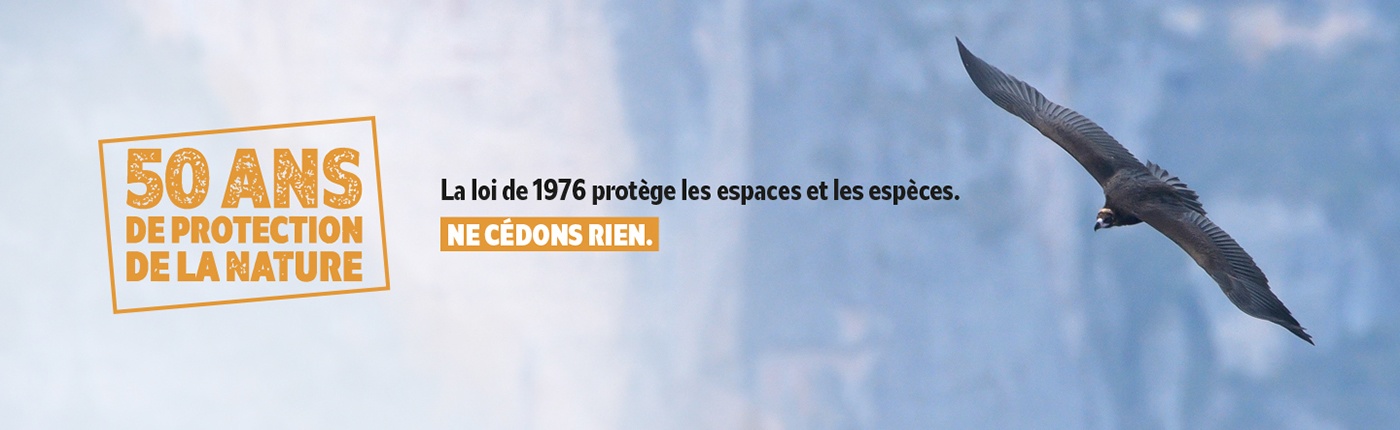 La loi du 10 juillet 1976