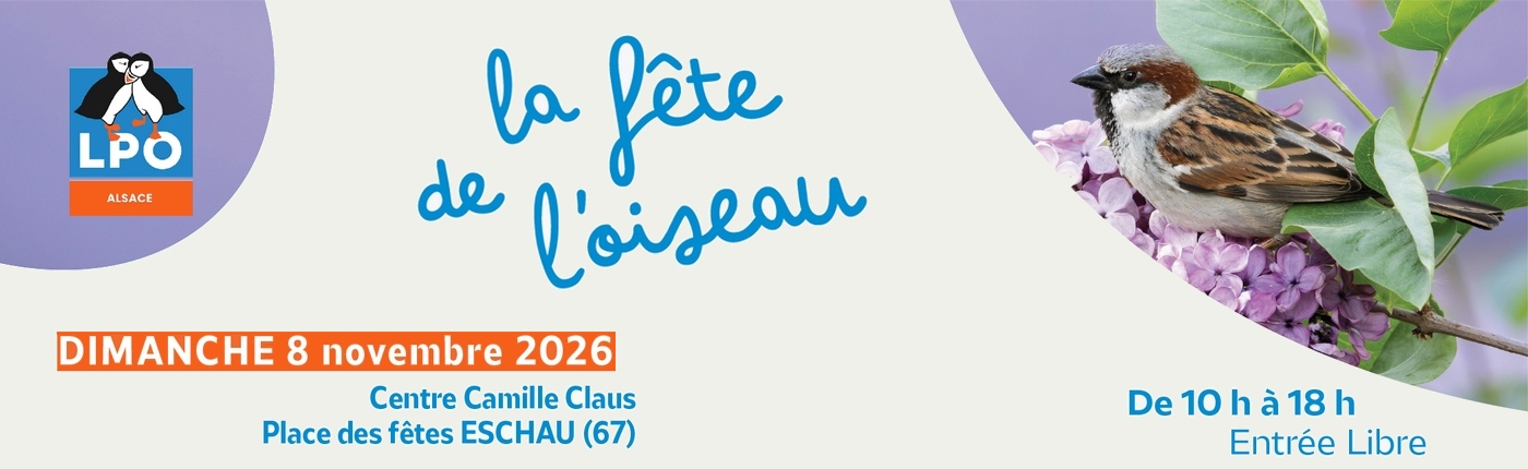 Bienvenue à la fête de l'oiseau 2026