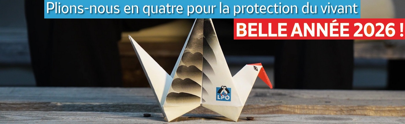 La LPO Alsace vous souhaite une bonne année