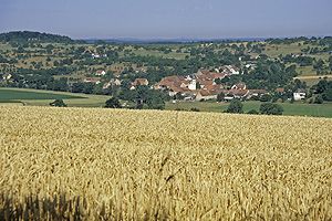 Elsässische Landschaft - Foto Jean-Marc Bronner