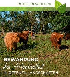 Mehr über ökologische Weidewirtschaft erfahren