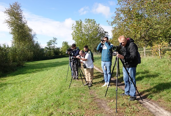 Une sortie migration à MIichelbach
