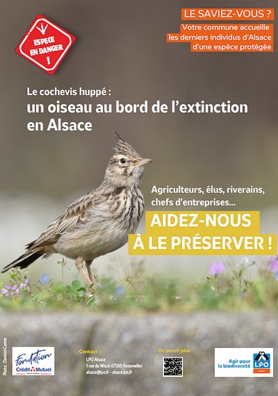 Cliquer pour visualiser le poster