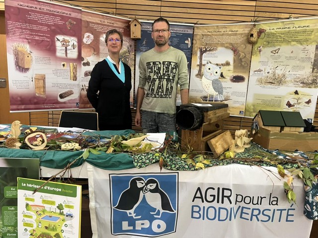 Stand à Drusenheim - Photo Stéphane Goubert
