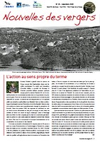 n°25, novembre 2020