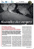 n°28, octobre 2023