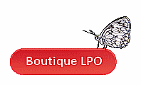 Boutique LPO